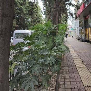 Сдается Нежилое помещение, 80 м²