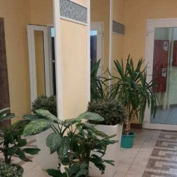 Сдается 2-х комнатная квартира, 53 м²