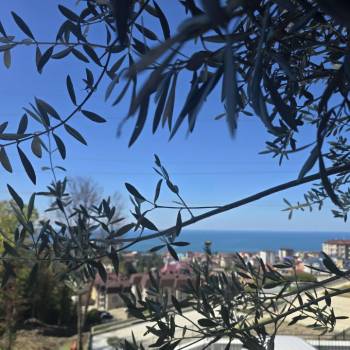 Продается 2-х комнатная квартира, 44,8 м²