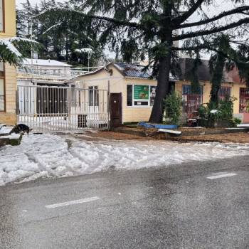 Сдается Нежилое помещение, 80 м²