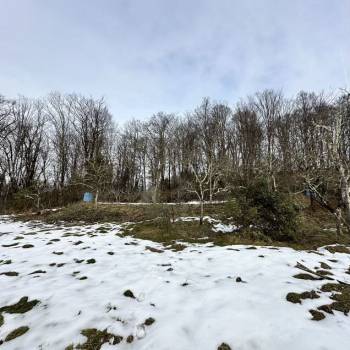 Продается Участок, 1000 м²