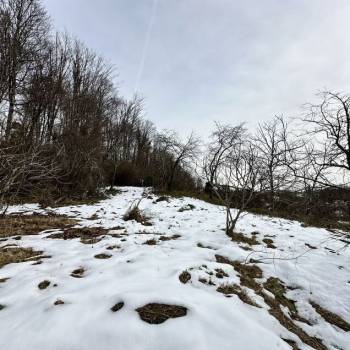 Продается Участок, 1000 м²