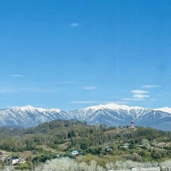 Сдается 2-х комнатная квартира, 51 м²