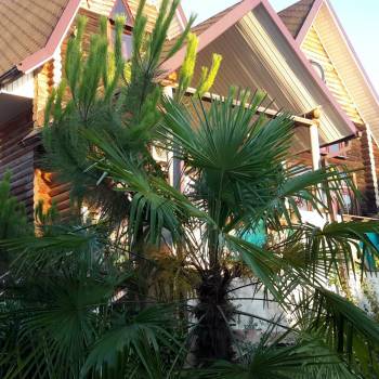 Сдается 2-х комнатная квартира, 80 м²