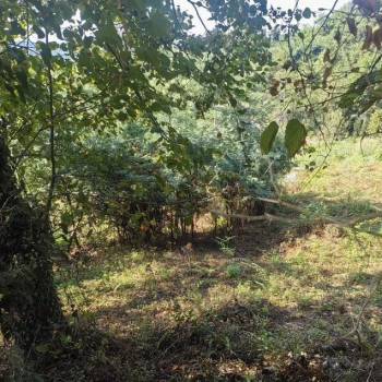 Продается Участок, 500 м²