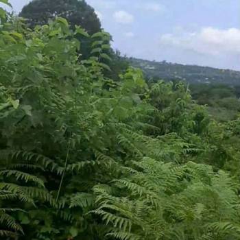 Продается Участок, 500 м²