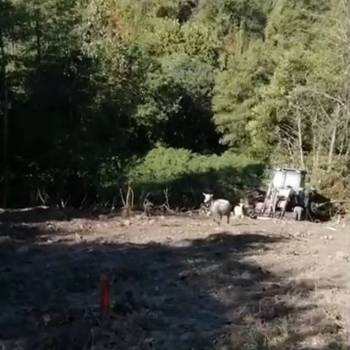 Продается Участок, 550 м²