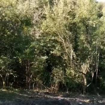 Продается Участок, 550 м²