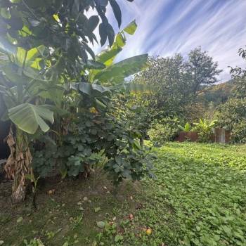 Продается Участок, 590 м²