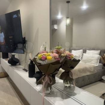 Продается 1-комнатная квартира, 27,3 м²