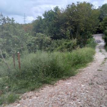 Продается Участок, 530 м²