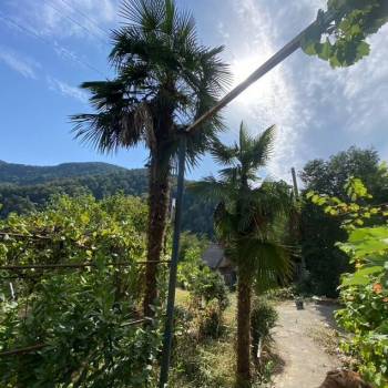 Продается Участок, 1000 м²