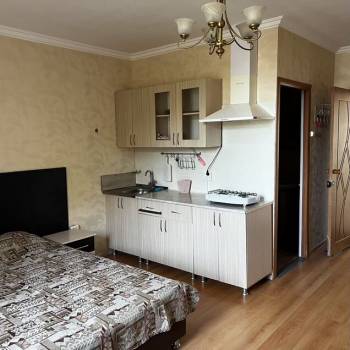 Сдается 1-комнатная квартира, 25 м²