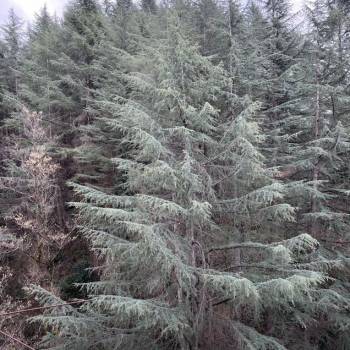 Продается 2-х комнатная квартира, 54 м²