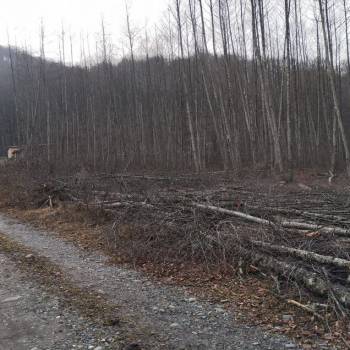 Продается Участок, 400 м²