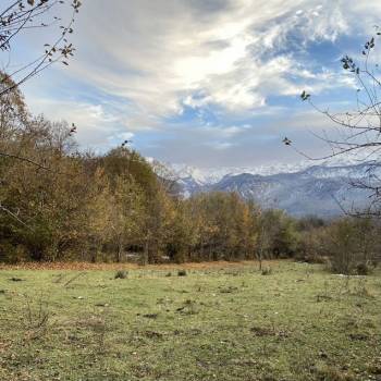 Продается Участок, 5000 м²