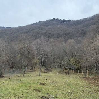 Продается Участок, 5000 м²