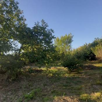 Продается Участок, 1000 м²