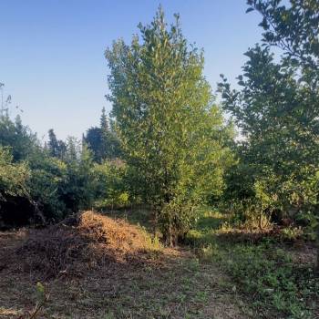 Продается Участок, 1000 м²