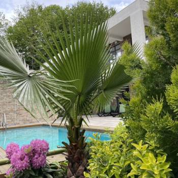 Сдается Дом, 320 м²