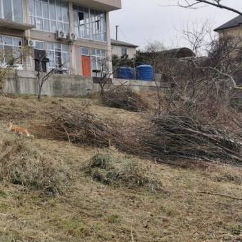 Продается Участок, 650 м²