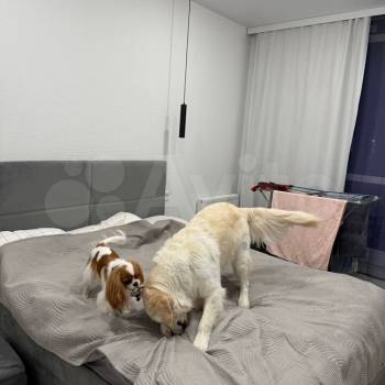 Сдается 1-комнатная квартира, 28 м²