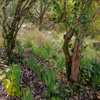 Продается Участок, 670 м²