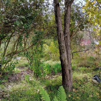 Продается Участок, 670 м²