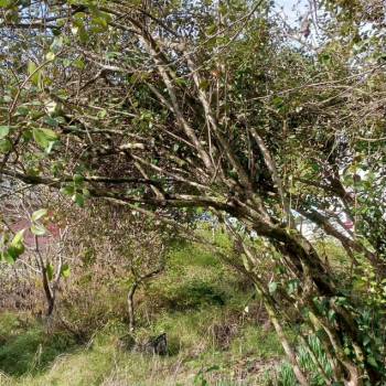 Продается Участок, 670 м²