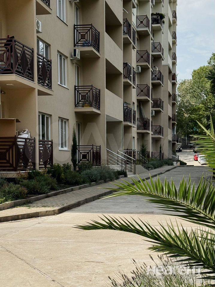 Фотография №4