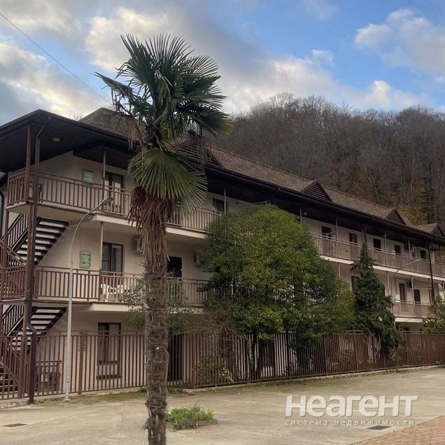 Фотография №2