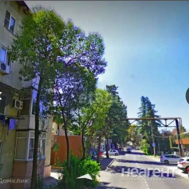 Фотография №3