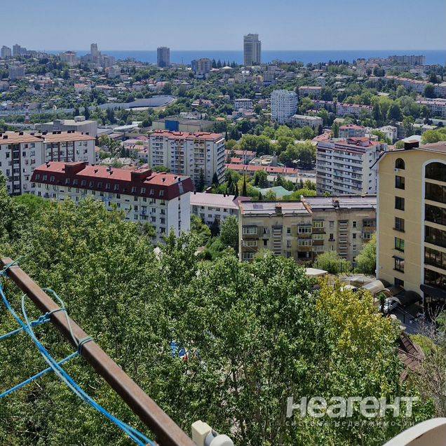 Фотография №3