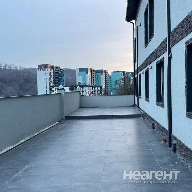 Фотография №3