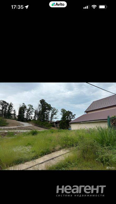 Фотография №2