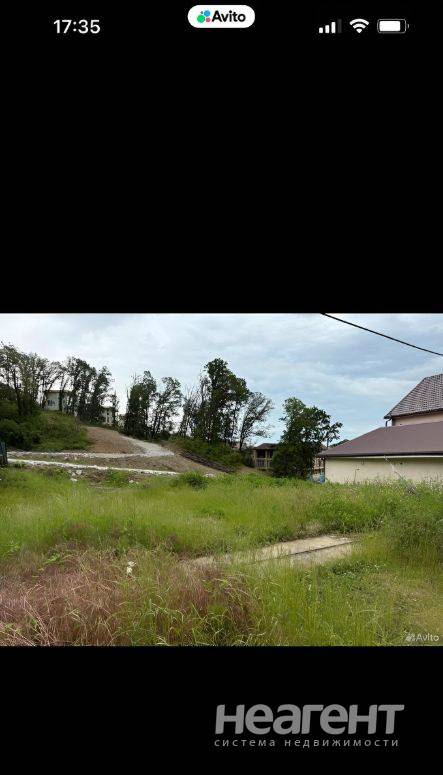 Фотография №3