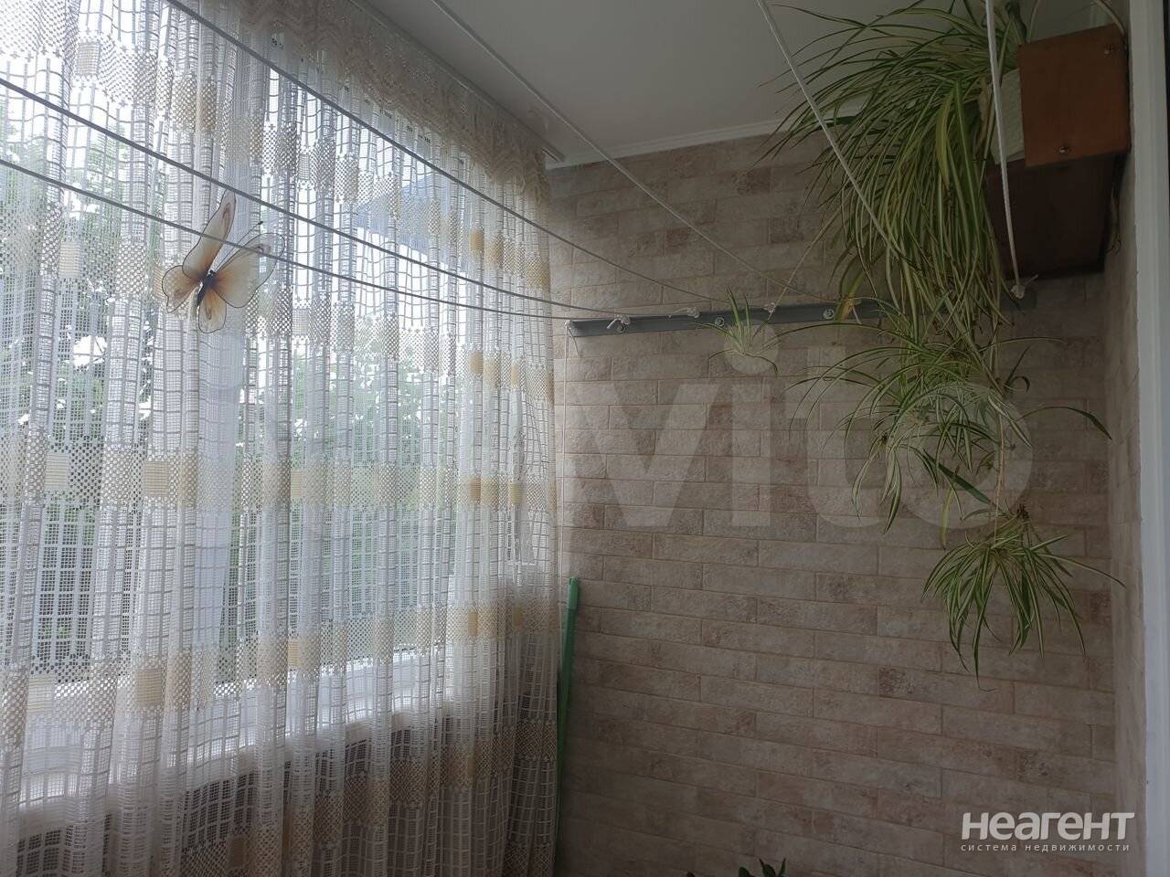 Фотография №3