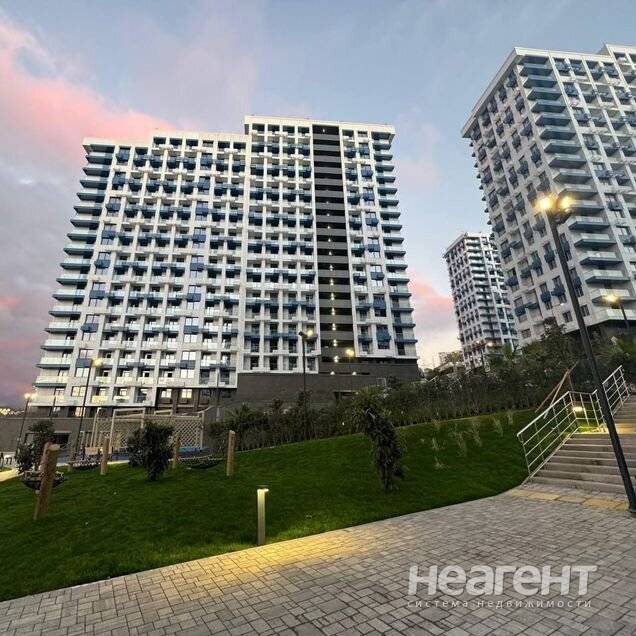 Фотография №2