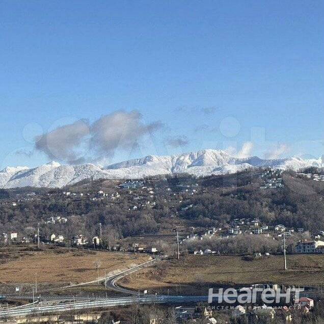 Фотография №3