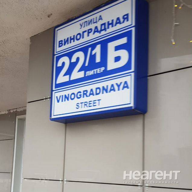 Фотография №3