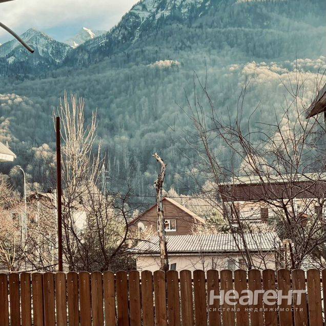 Фотография №3