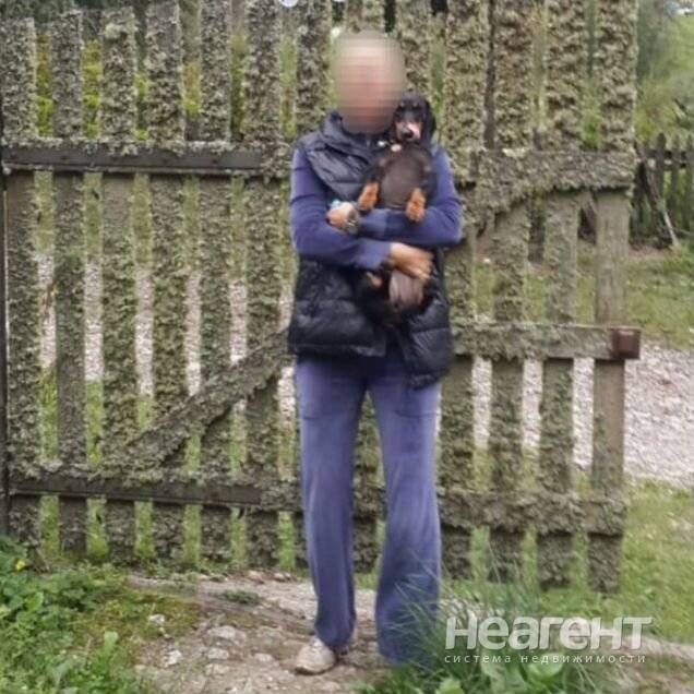 Фотография №2