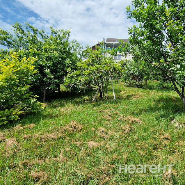 Продажа участка, Вардане