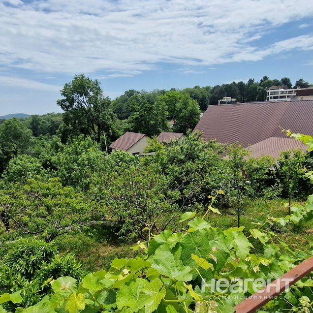 Фотография №3