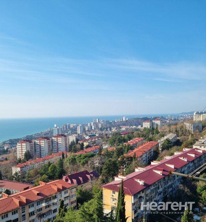 Фотография №3