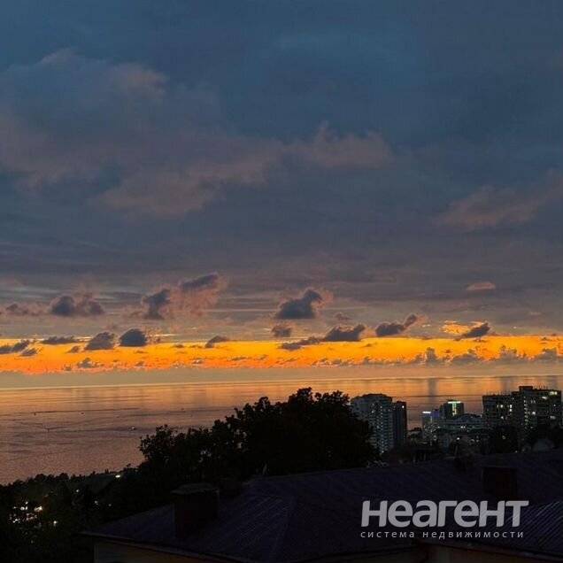 Фотография №2