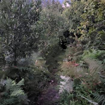 Продается Дом, 80 м²