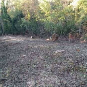 Продается Участок, 600 м²