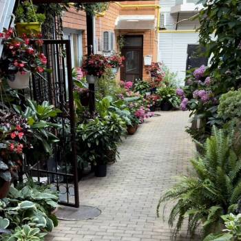 Сдается 1-комнатная квартира, 55 м²