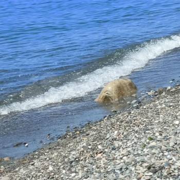 Продается 3-х комнатная квартира, 59 м²